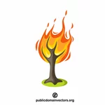 حرق شجرة