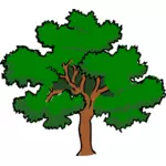 Vektorgrafikk utklipp av oaktree med bredt treetop,