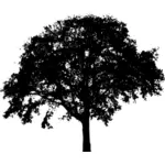 Silhouette vector graphics of spreading tree form