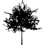 Yayılan ağaç siluet vektör görüntü