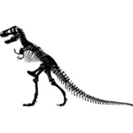 T-Rex skelett vektorbild