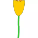 Tulip kuning