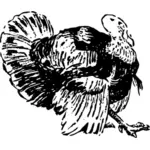 Line art vector drawing of turkey