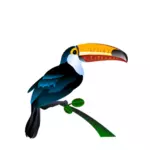 Toucan изображение