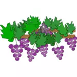 Cultivo de uvas