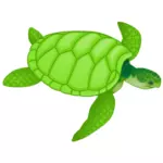 Zelená mořská želva Vektor Klipart