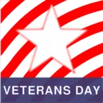 День ветеранов векторное изображение