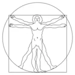 Vector de la imagen el hombre de Vitruvio