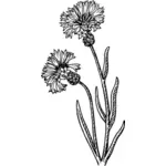 Flori de vara vector imagine