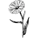Černobílý květ vektorové ilustrace