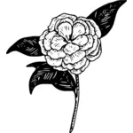 Camellia flower vector clip art
