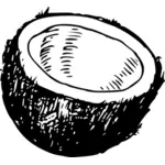 सदिश एक आधा नारियल फल आइकन का चित्रण