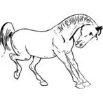 Stegrande häst vektorgrafik