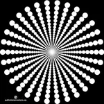 Cercles concentriques blancs