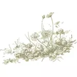 Wilde bloemen vector tekening