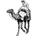 Vector image of woman on a camel