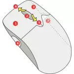 Diagrama de imagini de vector wireless mouse