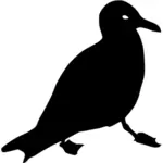 Vector silhouette graphics of gull