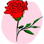 Vektorové grafiky barevné růže