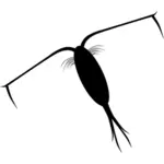 Zooplankton silueta vektorový obrázek