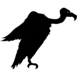 Imagem de vetor silhueta abutre